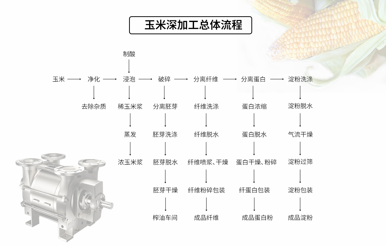 High energy use and protein denaturation in corn processing? The answer lies in vacuum